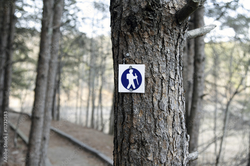 Naklejka premium Trail marker