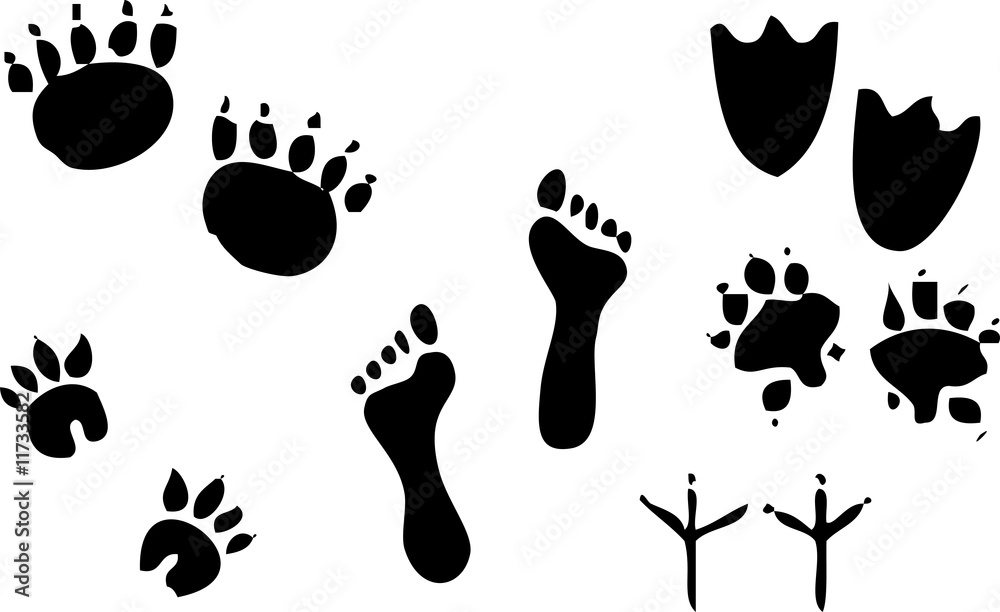 footprint footprint