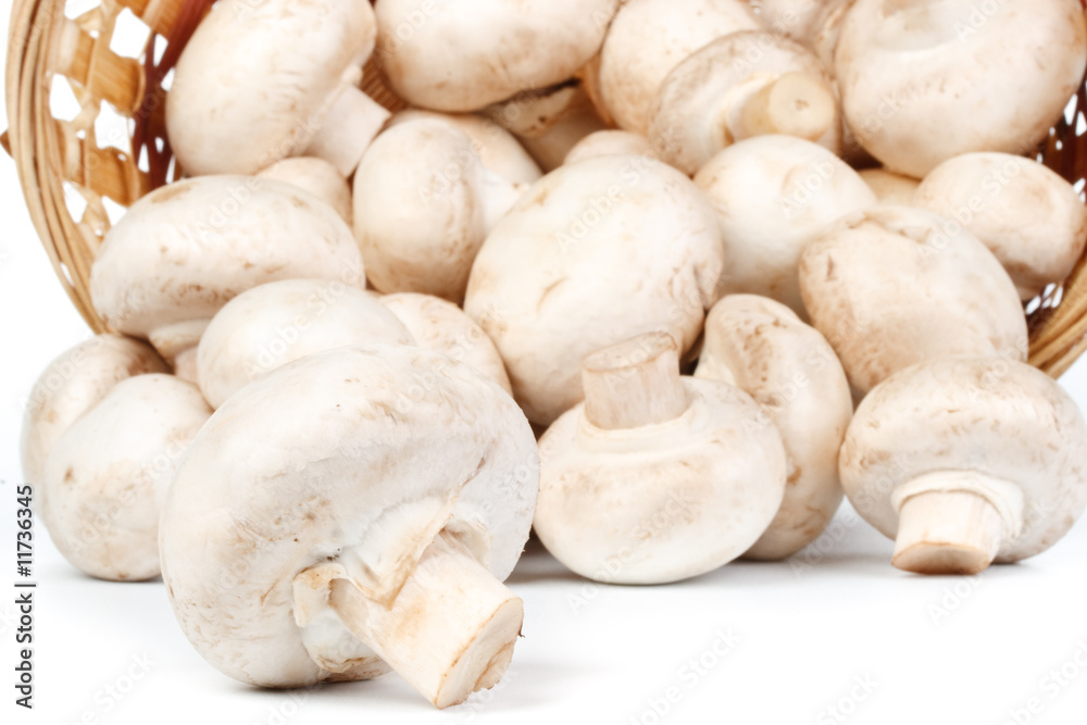 Fresh mushrooms in a basket Fresh mushrooms in a basket