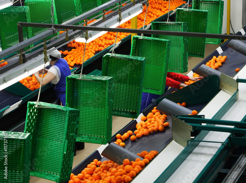 factory of oranges