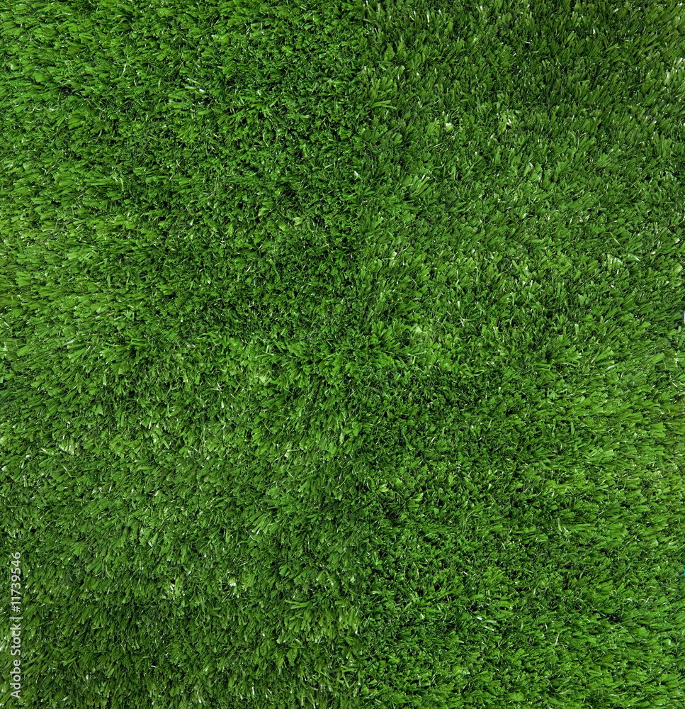 Obraz premium Green grass