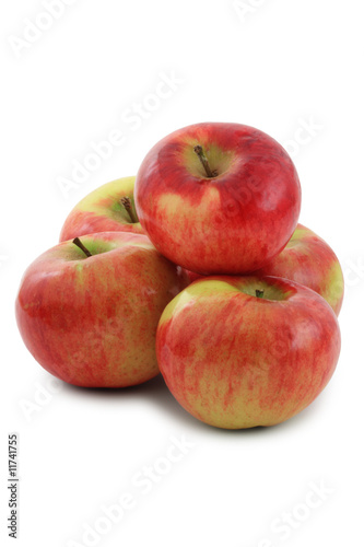 Cortland Apples photo