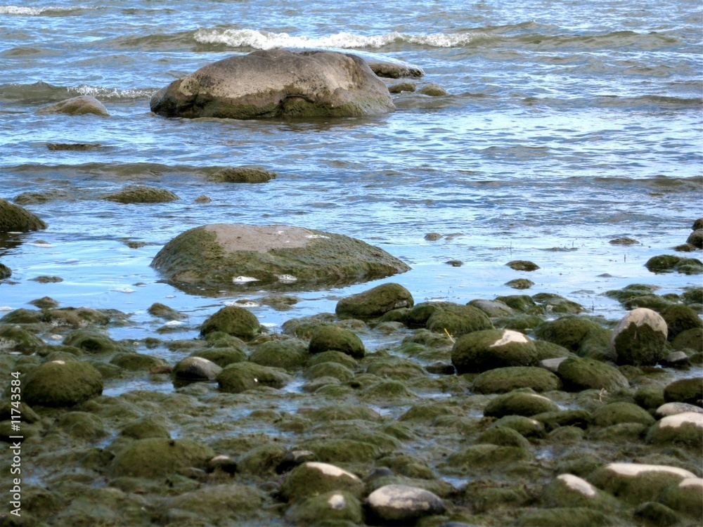 rocks rocks