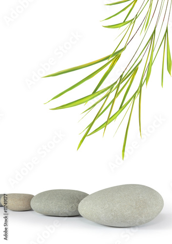 Zen Stones and Bamboo Leaf Grass