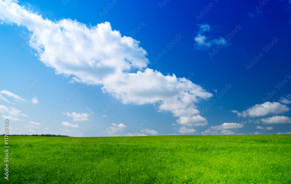 green field and blue sky