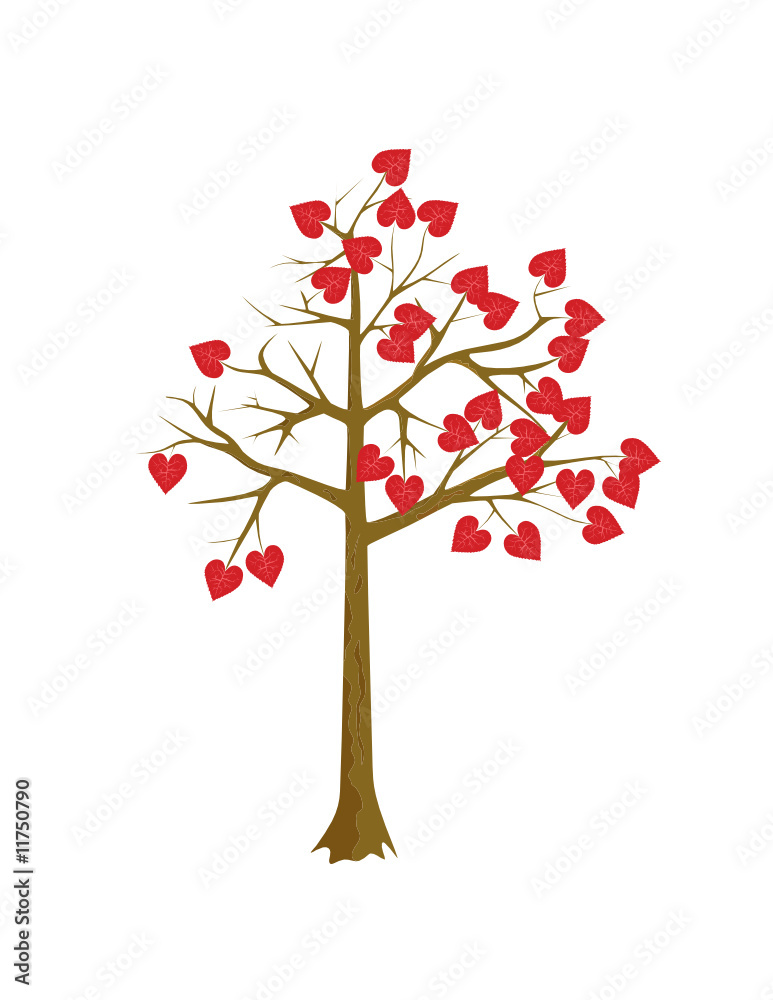 Scarlet hearts tree