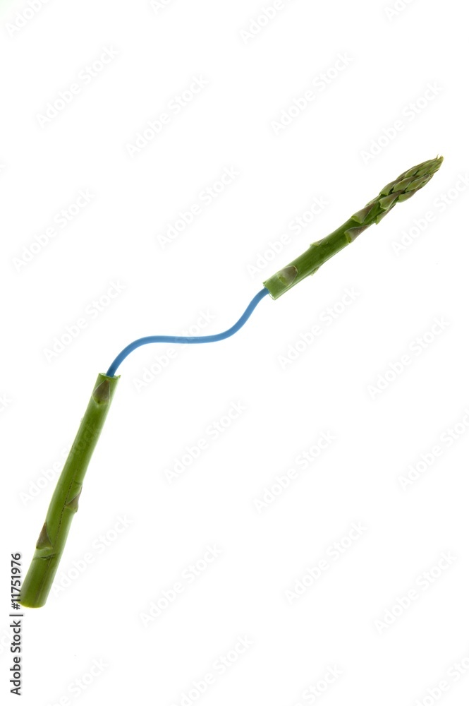 genetic engineering food, vegetables investigation genetic engineering food, vegetables investigation
