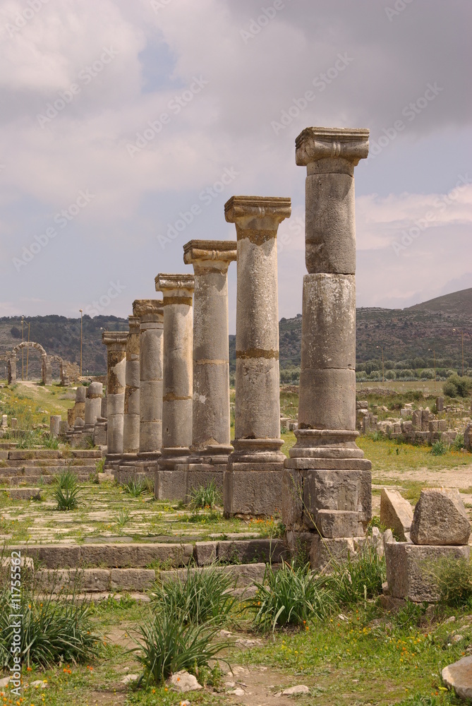 Ruines de Volubilis au Maroc