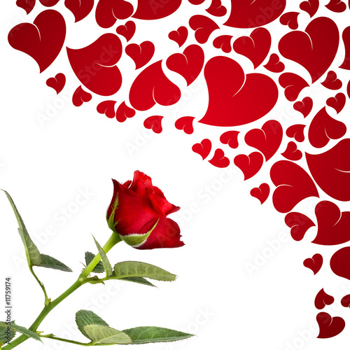 Fototapeta Naklejka Na Ścianę i Meble -  Red rose and hearts for lovers