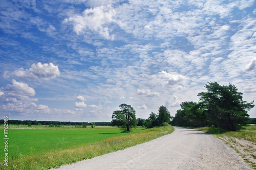 Bild auf Leinwand Road among a field
