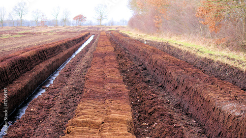 raubbau, zerstörung der natur