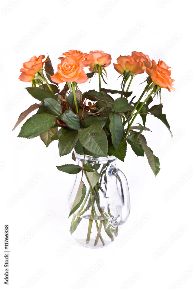 Obraz premium red roses in a glass vase isolated on white