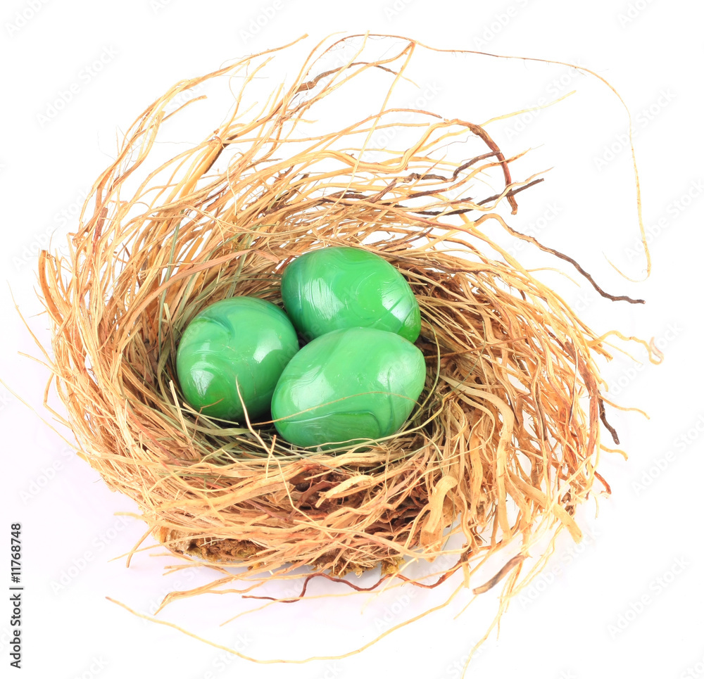 Obraz premium Green eggs