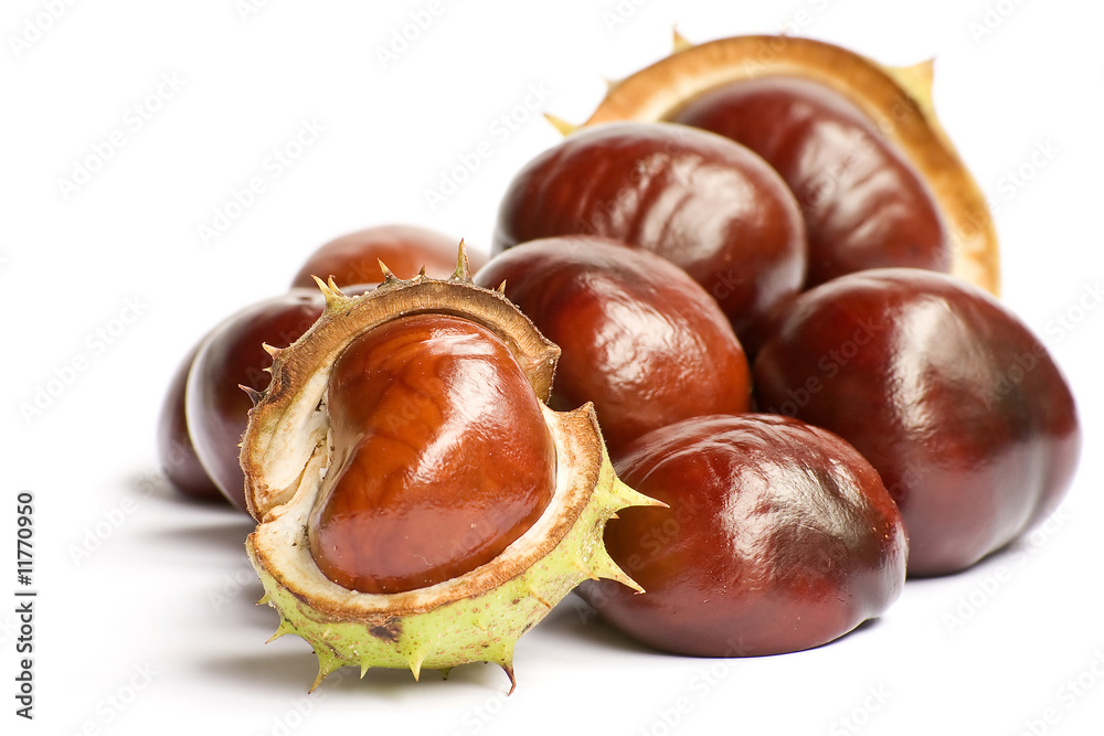 chestnuts isolated on white chestnuts isolated on white