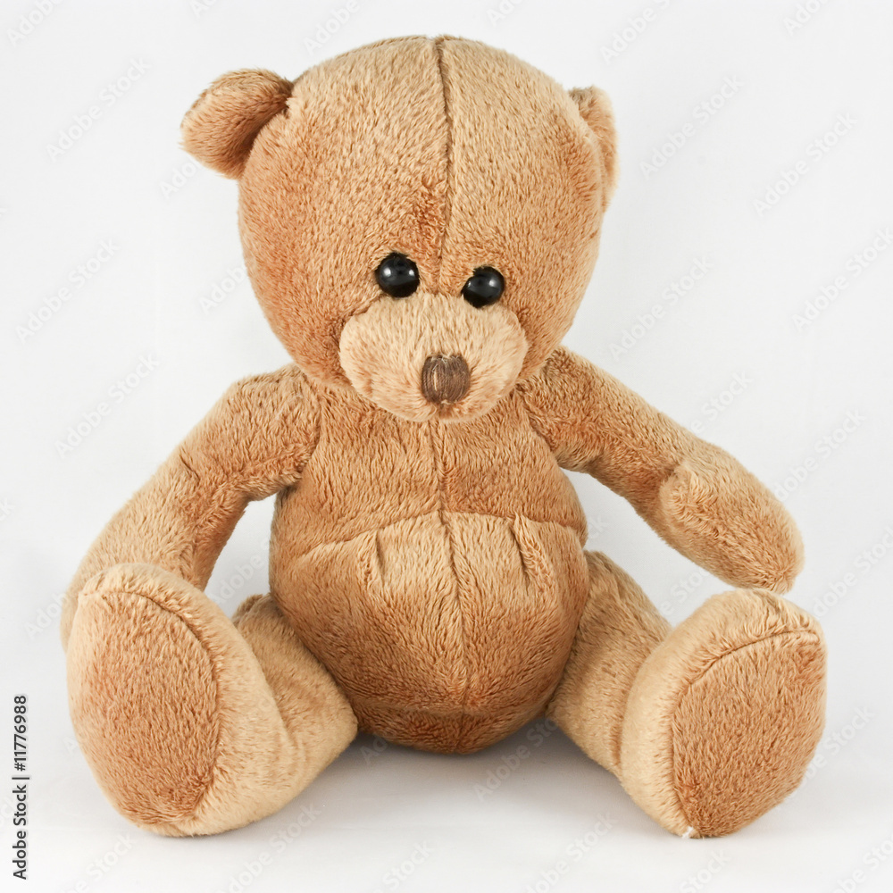 Teddy bear