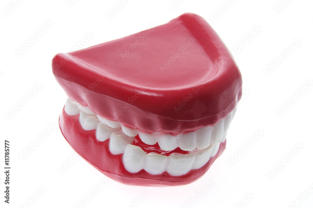 Obraz premium Artificial Dentures