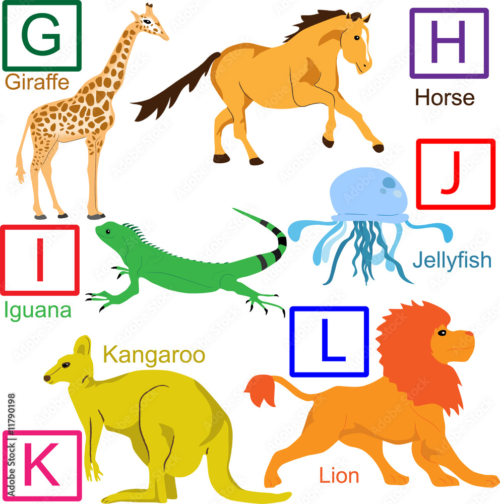 Naklejka premium Animal alphabet, part 2 of 4