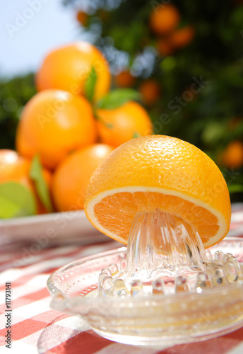 Foto orange - composition with squeezer