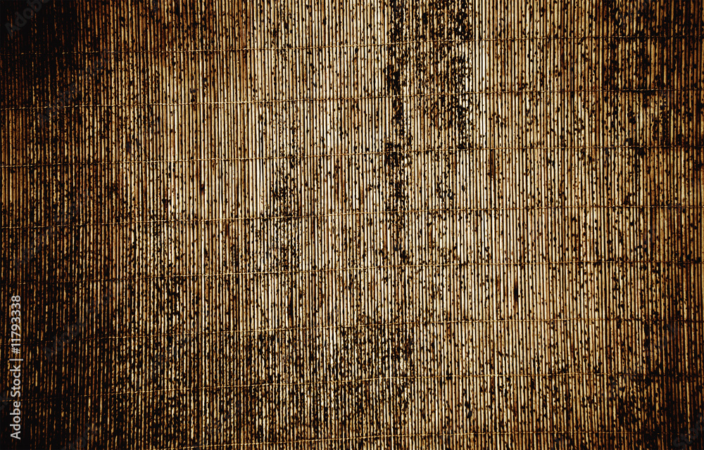 Fototapeta premium bamboo