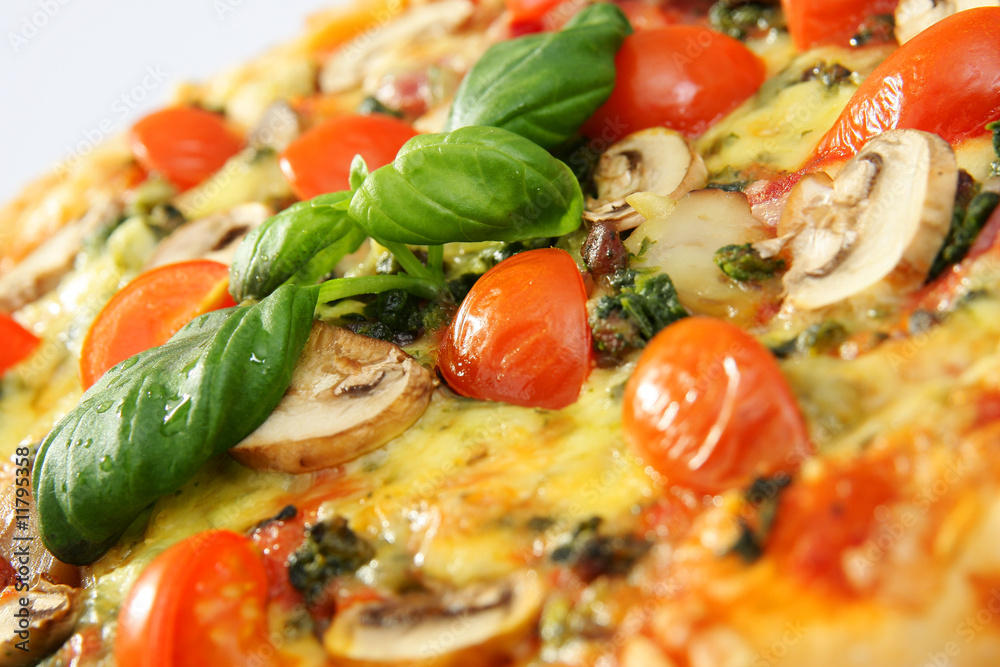 belag einer pizza belag einer pizza