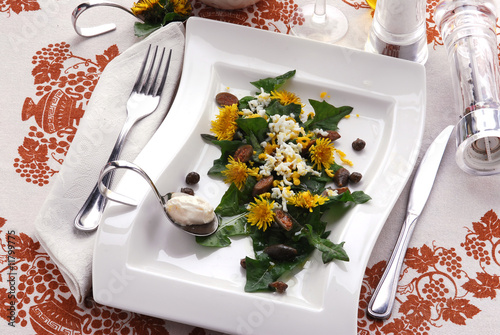 Insalata verde e gialla - Cucina alle erbe e fiori eduli photo