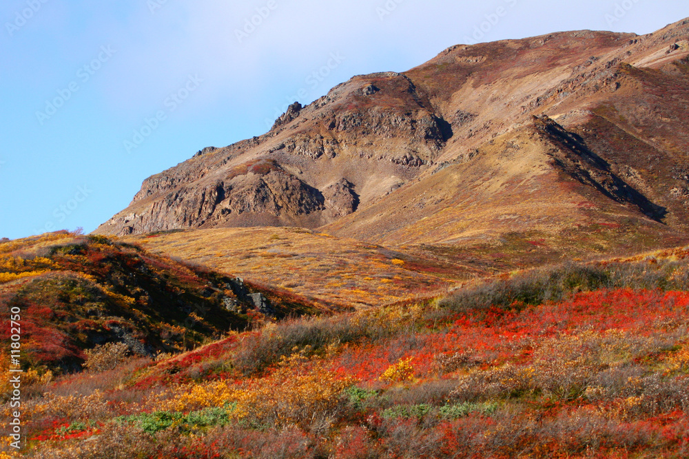 Fall Colors in Alaska