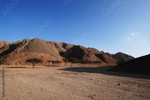 Wadi in the desert