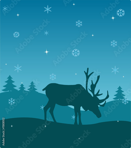 Winter deer