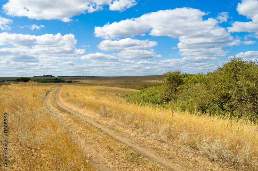 road in steppe