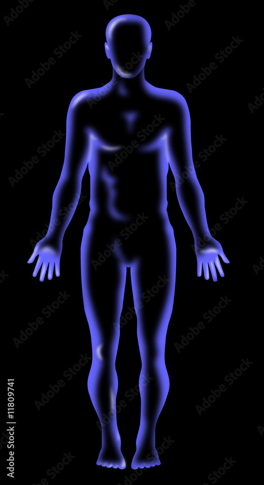 Human anatomy Human anatomy