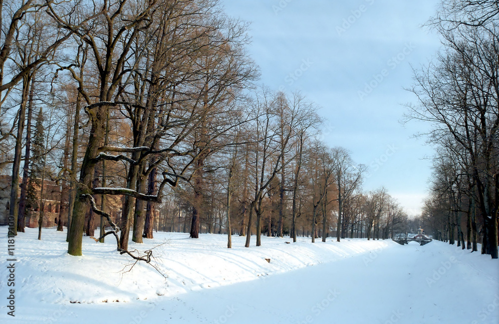 Aqueduct with trees in winter