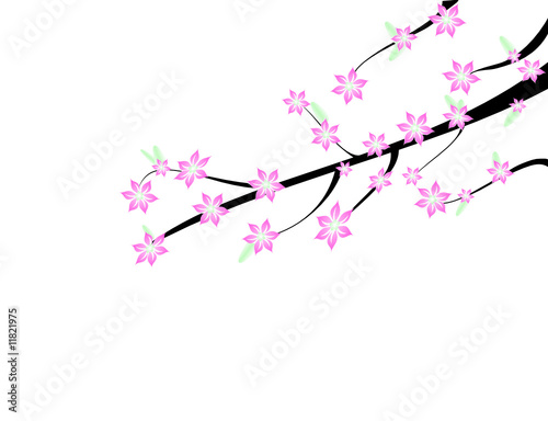 branche fleurie