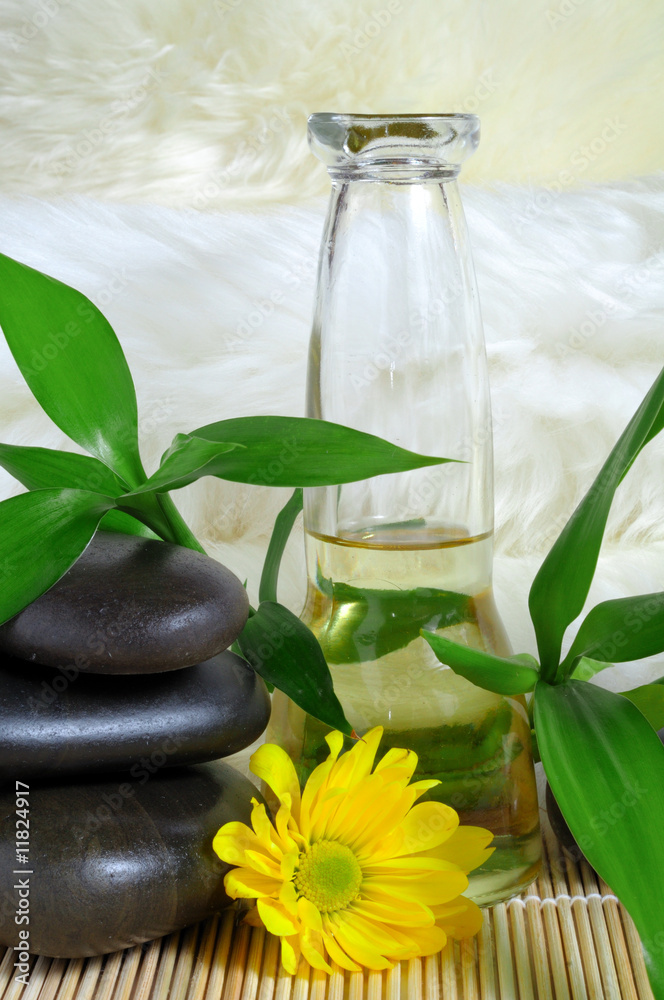 Obraz premium Nature power