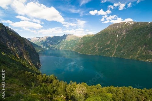 Summer fjord