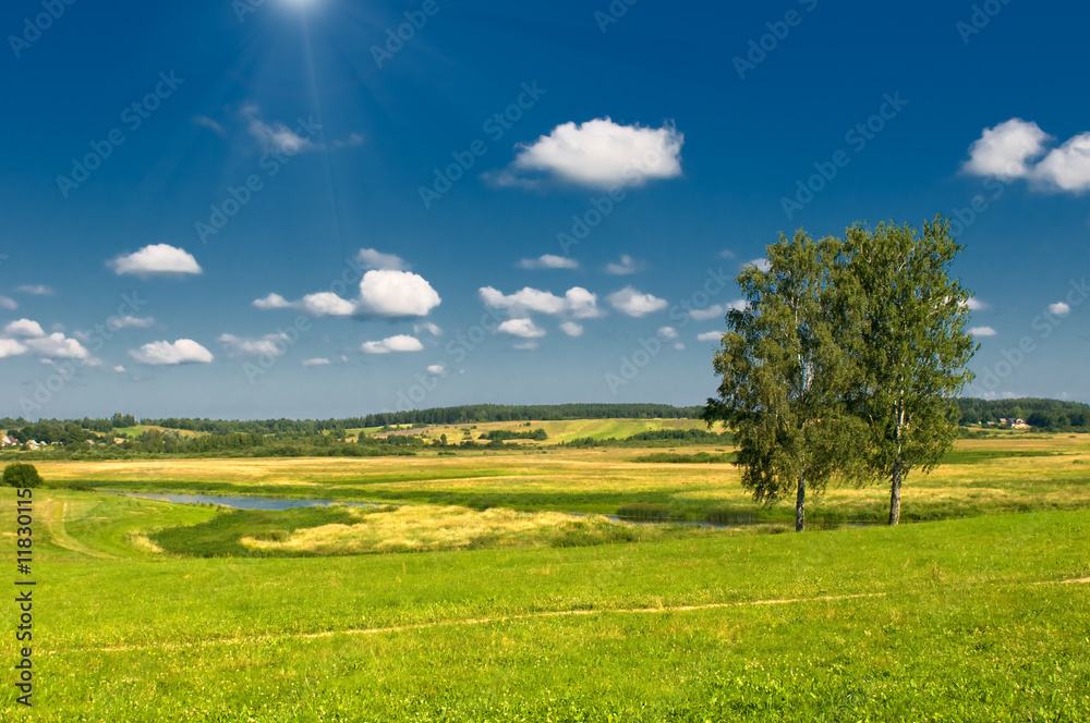 Obraz premium rural landscape with two trees
