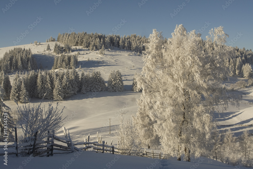 Obraz premium Winter mountain Landscape