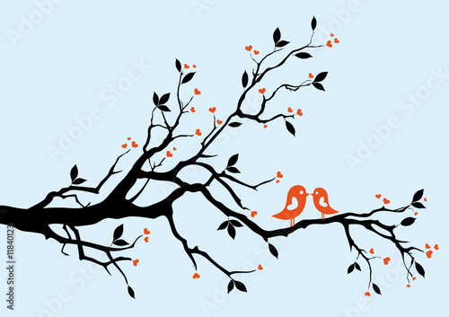 birds kissing on a branch