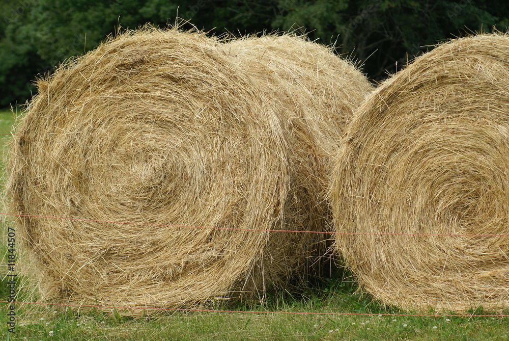 rouleaux de paille