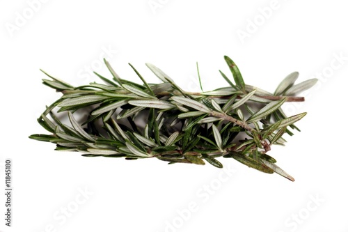 Rosemary