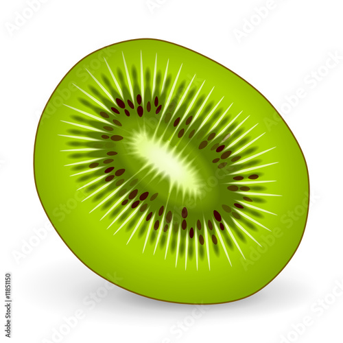kiwi aufgeschnitten mit schatten