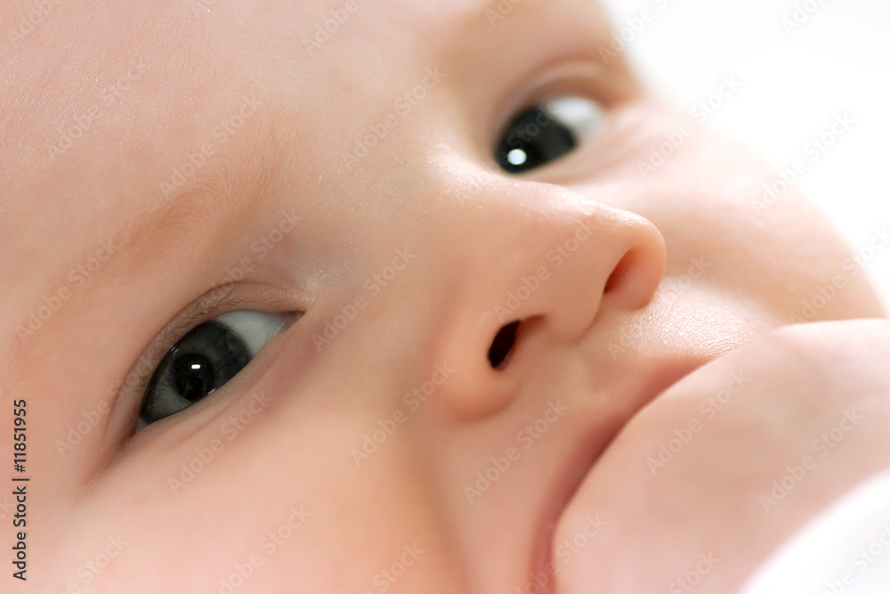small child of monthly age observes of the world new to it small child of monthly age observes of the world new to it