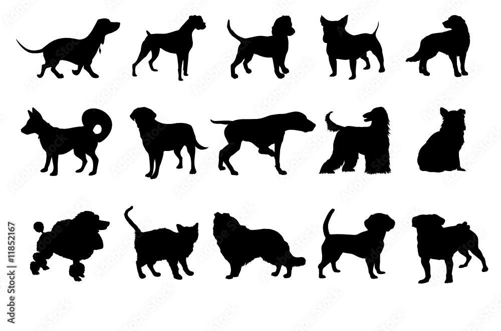 Dogs and cats silhouettes