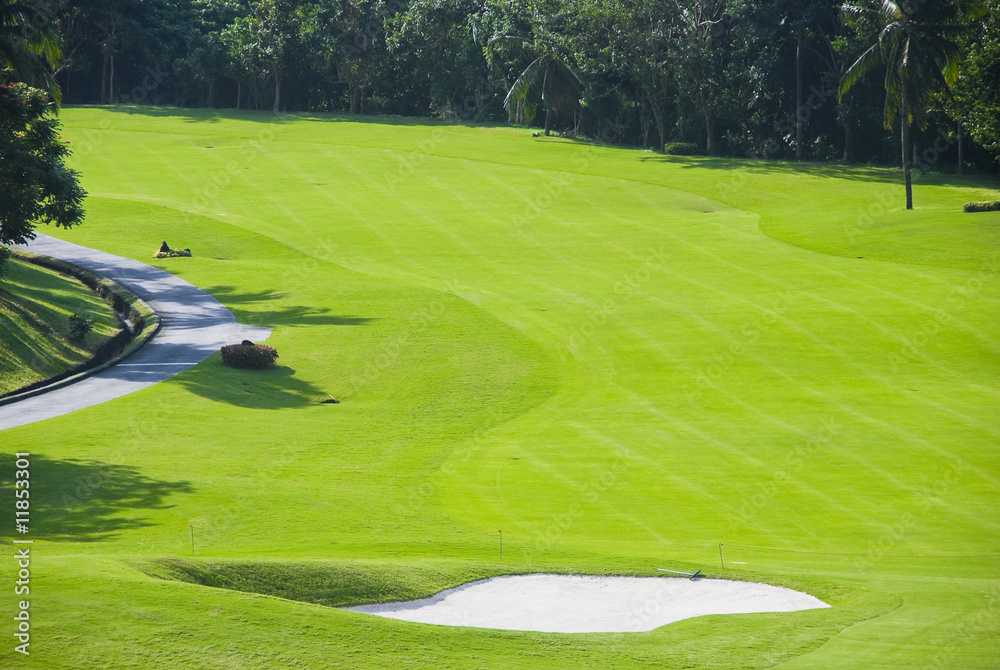 Fototapeta premium Golf Greens