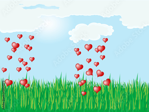 Heart rain over the meadow