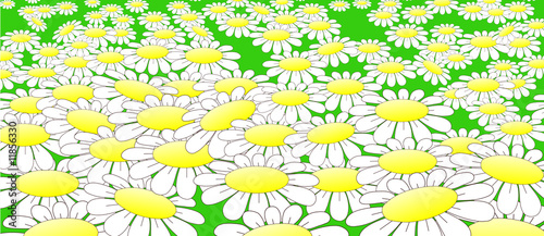 Tableau sur toile field dotted daisywheel