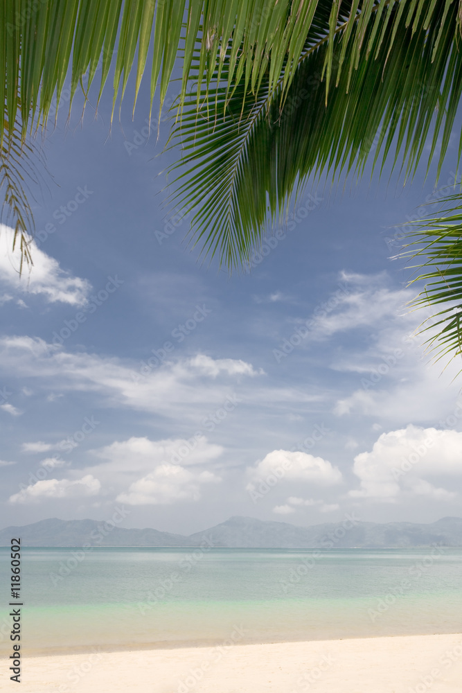 Fototapeta premium tropic site