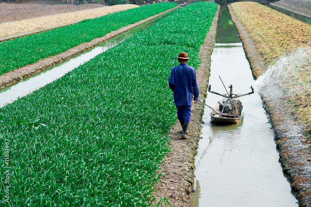 Fototapeta premium The agriculturist.