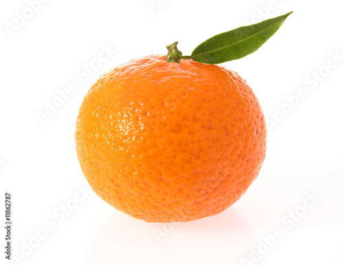 Clementine mit Blatt photo