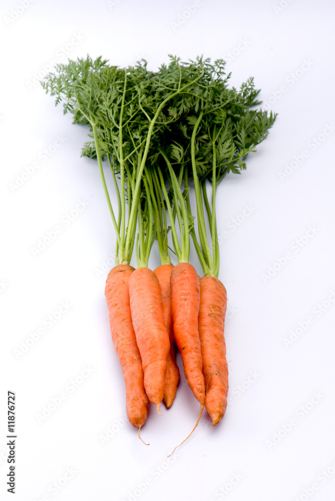 marchew, carrot