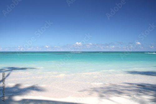 Fototapeta Naklejka Na Ścianę i Meble -  Tropical Paradise - White Sand Beach and Ocean Background